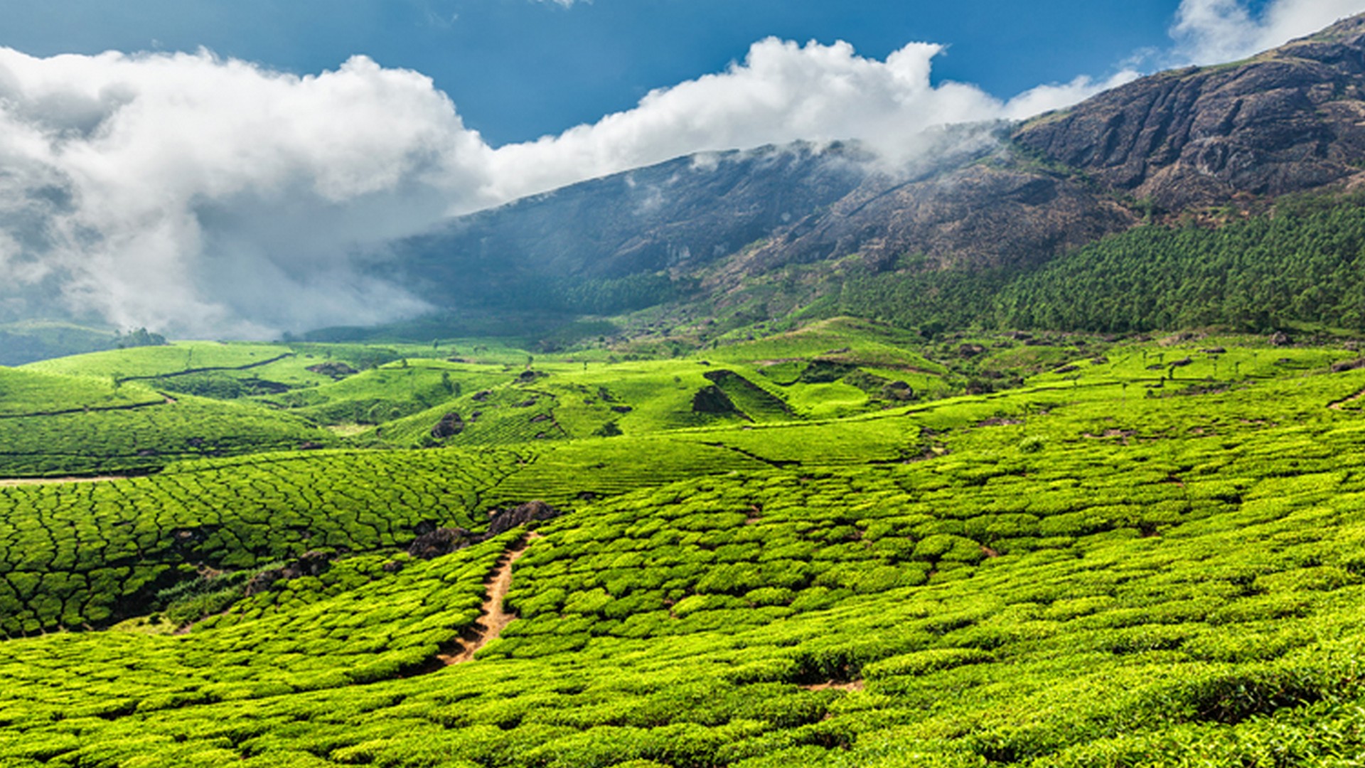 Ten Most Beautiful Places Visit in South India