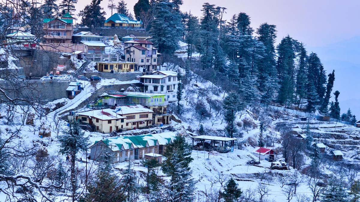 Shimla-Kufri, Himachal Pradesh