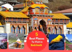 5 Best Places to Visit in Badrinath